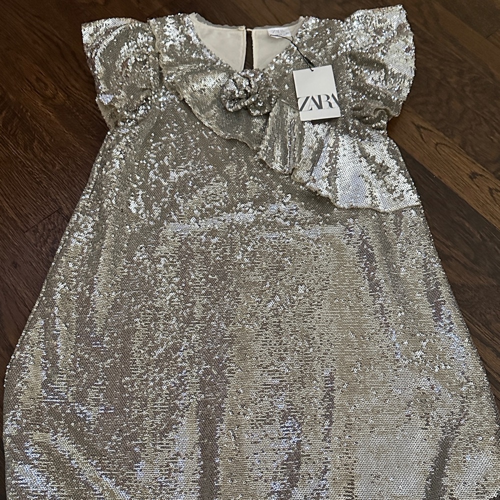 Zara Glittering Silver Sequin Dress